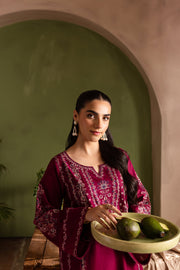 Betty 2Pc - Embroidered Khaddar Dress