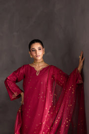 Nimbus 3pc - Embroidered Khaddar Dress