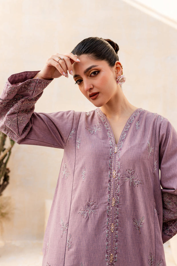 Faro 2Pc - Embroidered Khaddar Dress