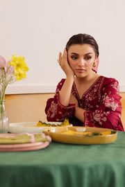 Crimson Haze 2Pc - Embroidered khaddar Pret